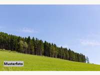 Landwirtschaftsgrund Inzing