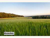 Landwirtschaftsgrund 6401 Inzing