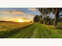 Landwirtschaftsgrund St.Gerogen am Walde