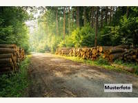 Landwirtschaftsgrund St.Gerogen am Walde