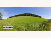 Landwirtschaftsgrund 7423 Pinkafeld