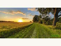 Landwirtschaftsgrund Langenlois