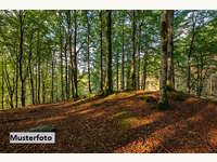 Landwirtschaftsgrund 8544 Pölfing-Brunn