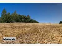 Landwirtschaftsgrund 7142 Illmitz