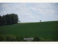 Landwirtschaftsgrund 4102 Goldwörth