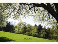 Landwirtschaftsgrund Goldwörth