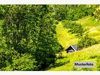 Landwirtschaftsgrund Hüttenberg