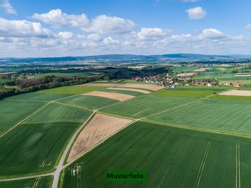 Landwirtschaftsgrund Langen bei Bregenz