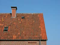 Einfamilienhaus 2285 Breitstetten