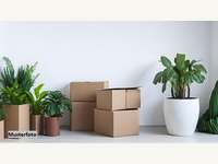 Eigentumswohnung Fulpmes