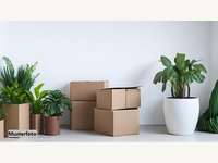 Eigentumswohnung 6142 Mieders