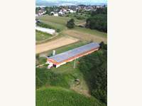 Forstwirtschaft Bergwerk - Bild 