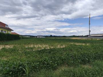 Baugrundstück 