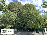 Baugrundstück 1230 Wien