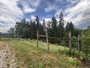 Landwirtschaftsgrund Stallhofen - Bild 