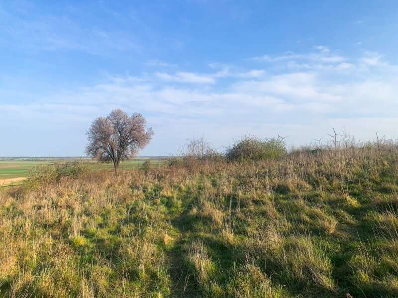 Baugrundstück Nickelsdorf