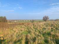 Baugrundstück Nickelsdorf - Bild 